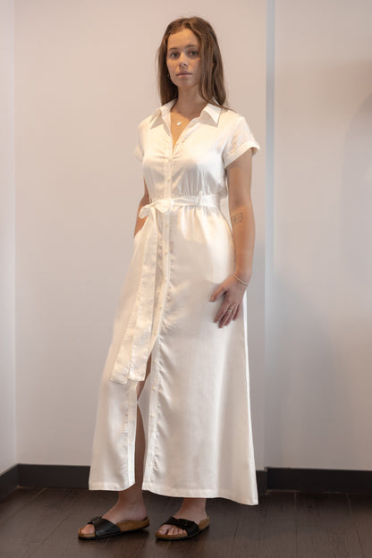 Allegra Dress